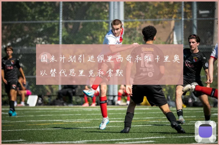 国米计划引进佩里西奇和维卡里奥以替代恩里克和索默