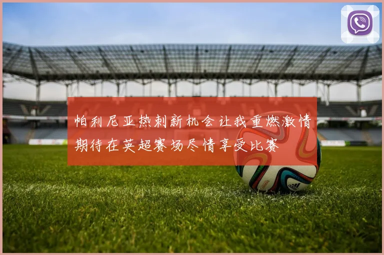 帕利尼亚热刺新机会让我重燃激情期待在英超赛场尽情享受比赛