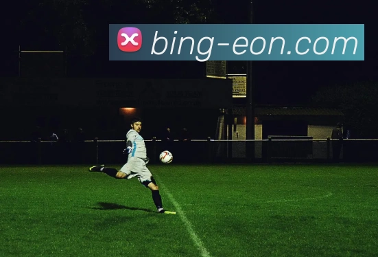 意昂体育服务体系